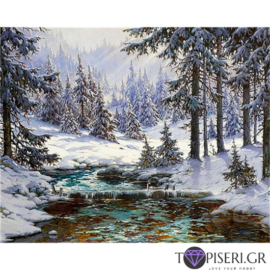 Painting By Numbers Winter In Forest - Tapiseri.GR