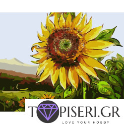 Painting By Numbers Sunflower 2