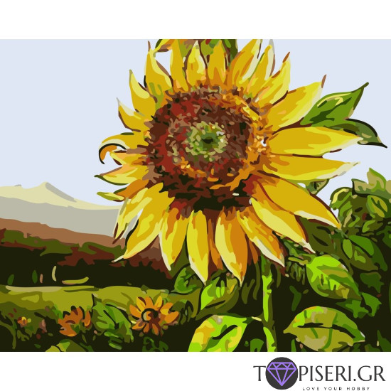 Painting By Numbers Sunflower 2 - Tapiseri.GR