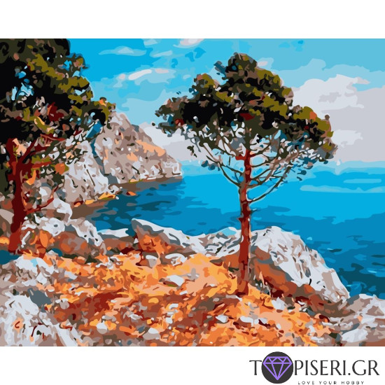 Ζωγραφική με αριθμούς Θέα στη θάλασσα - Tapiseri.GR