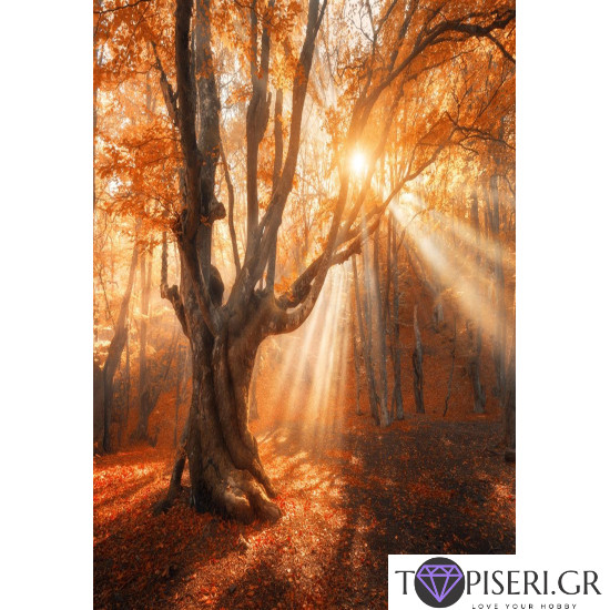 Diamond Painting The Tree And The Autumn - Tapiseri.GR