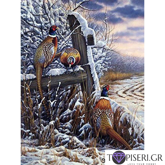 Diamond Painting Pheasants - Tapiseri.GR