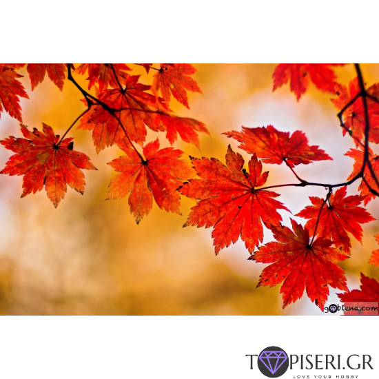 Diamond Painting Autumn Leaves - Tapiseri.GR