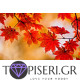 Diamond Painting Autumn Leaves - Tapiseri.GR