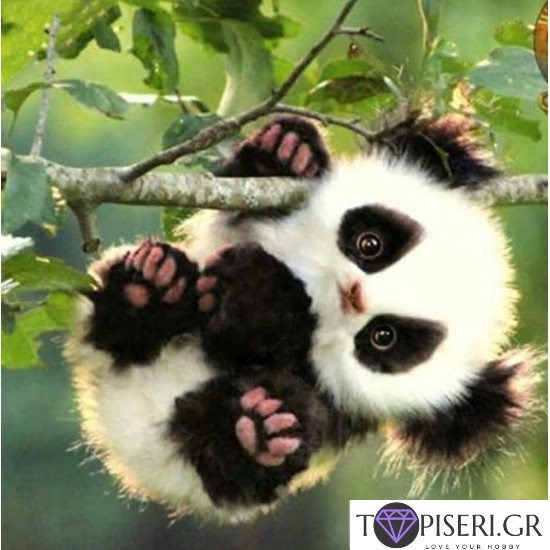 Diamond Painting Panda 2 - Tapiseri.GR