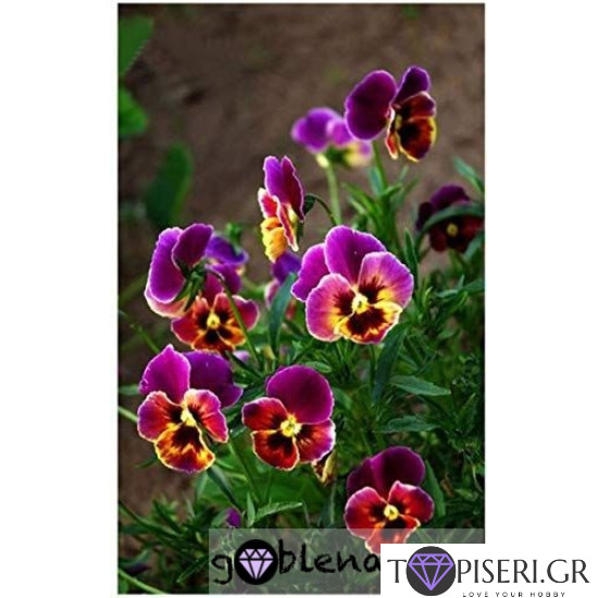Diamond Painting Violets - Tapiseri.GR Diamond Painting Violets - Tapiseri.GR