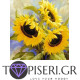 Diamond Painting Sunflowers 7 - Tapiseri.GR
