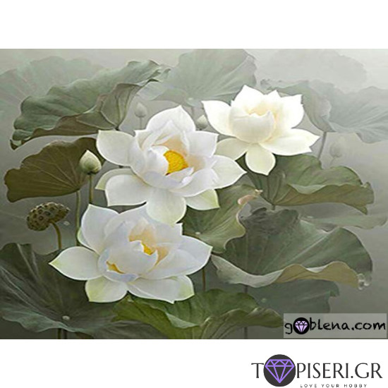 Diamond Painting White Waterlilies - Tapiseri.GR Diamond Painting White Waterlilies - Tapiseri.GR