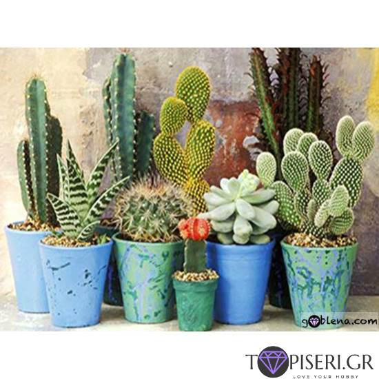 Diamond Painting Cactuses - Tapiseri.GR