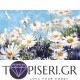 Diamond Painting Daisies 3 - Tapiseri.GR Diamond Painting Daisies 3 - Tapiseri.GR