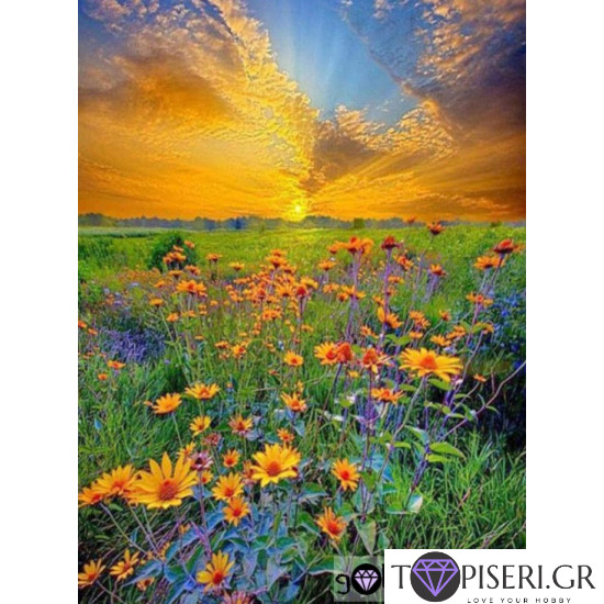 Diamond Painting Sunny Morning - Tapiseri.GR
