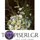 Diamond Painting Bouquet Daisies - Tapiseri.GR Diamond Painting Bouquet Daisies - Tapiseri.GR
