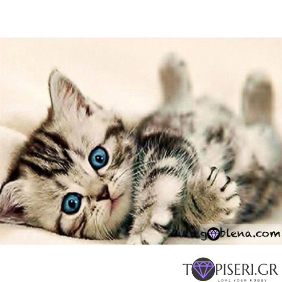Diamond Painting Cute Little Kitty - Tapiseri.GR