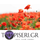 Diamond Painting Poppy Fields - Tapiseri.GR