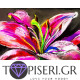 Diamond Painting Lilium - Tapiseri.GR