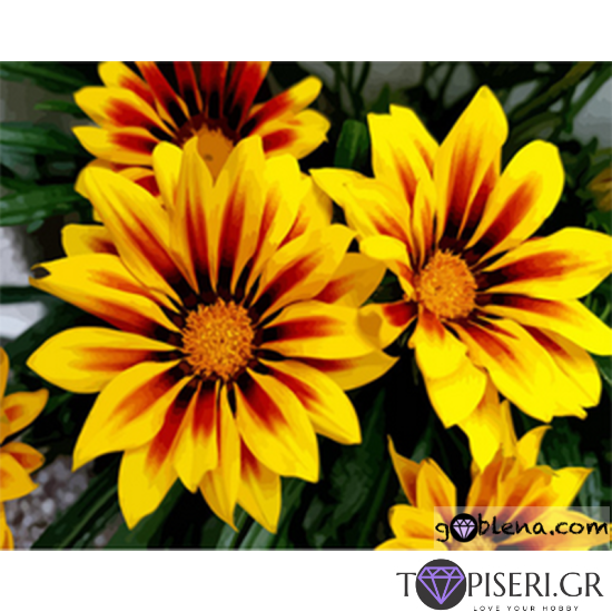 Diamond Painting Yellow Flowers - Tapiseri.GR