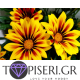 Diamond Painting Yellow Flowers - Tapiseri.GR