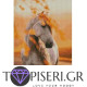 ECO Diamond Painting Horse With Autumn Leaves - Tapiseri.GR
