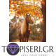 ECO Diamond Painting Horse Under Autumn Tree - Tapiseri.GR
