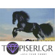 ECO Diamond Painting Arabian Stallion - Tapiseri.GR