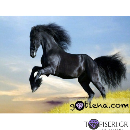 ECO Diamond Painting Arabian Stallion - Tapiseri.GR