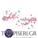 3D Wall Sticker Branches With Birds - Tapiseri.GR