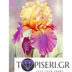 Diamond Painting Iris 3