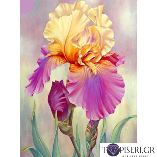 Diamond Painting Iris 3 - Tapiseri.GR