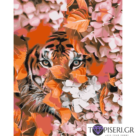 Painting By Numbers Tiger 2 - Tapiseri.GR