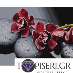 Painting By Numbers Orchid On The Stones