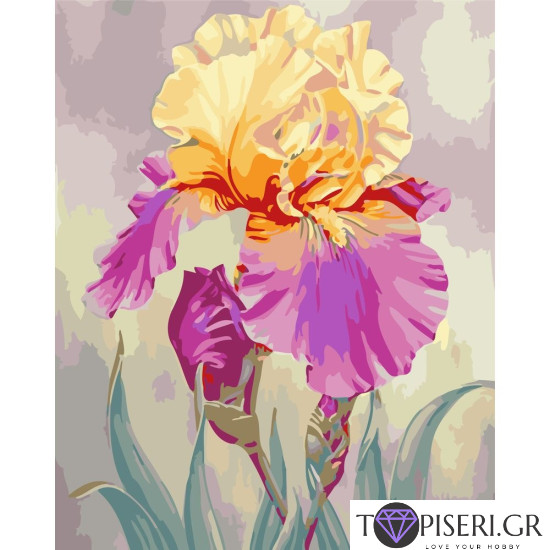 Painting By Numbers Iris - Tapiseri.GR