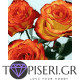 Painting By Numbers Red Roses 2 - Tapiseri.GR