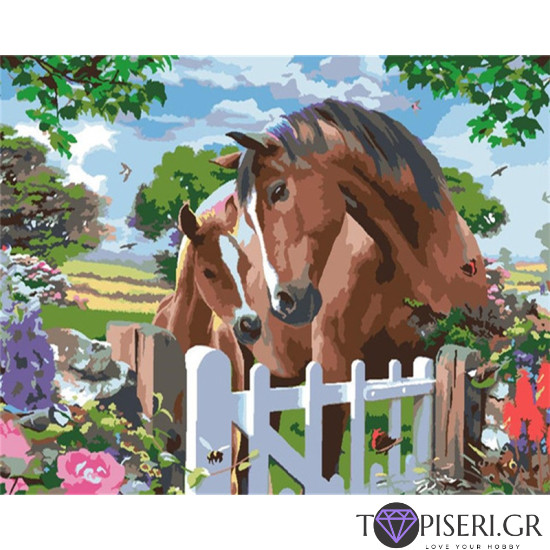 Painting By Numbers Horses - Tapiseri.GR
