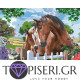 Painting By Numbers Horses - Tapiseri.GR