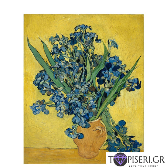 Painting By Numbers Irises By Van Gogh - Tapiseri.GR