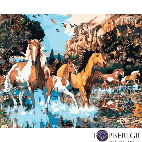 Ζωγραφική με αριθμούς Άλογα σε κολπίσκο - Tapiseri.GR