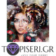 Painting By Numbers Woman And Tiger 2 - Tapiseri.GR