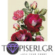 ECO Diamond Painting Roses 6 - Tapiseri.GR