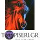 Diamond Painting Beautiful Stallion - Tapiseri.GR