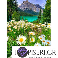 Diamond Painting Mountain Daisies