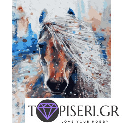 Painting By Numbers Horse