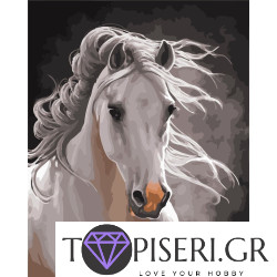 Painting By Numbers White Stallion