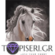 Painting By Numbers White Stallion - Tapiseri.GR Painting By Numbers White Stallion - Tapiseri.GR