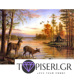 Painting By Numbers Family Deers
