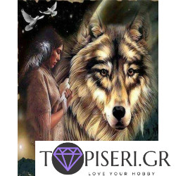 Painting By Numbers Indian Woman And Wolf