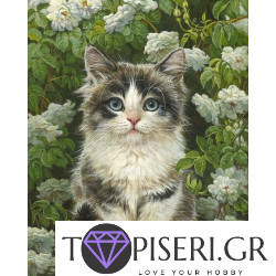 Painting By Numbers Cute Kitty