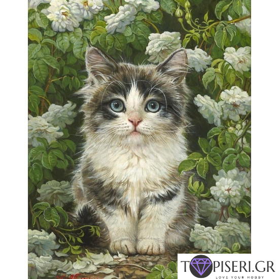 Painting By Numbers Cute Kitty - Tapiseri.GR