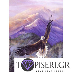 Painting By Numbers Eagle