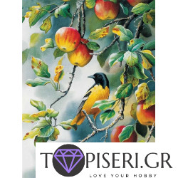 Painting By Numbers Bird In The Apple Tree