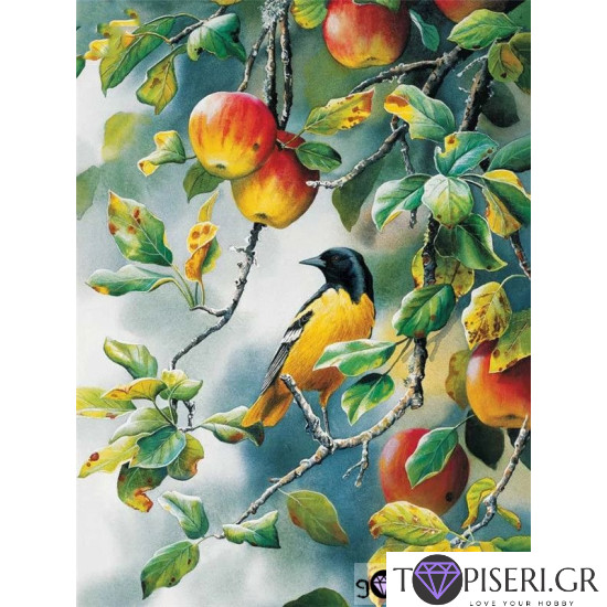 Painting By Numbers Bird In The Apple Tree - Tapiseri.GR Painting By Numbers Bird In The Apple Tree - Tapiseri.GR